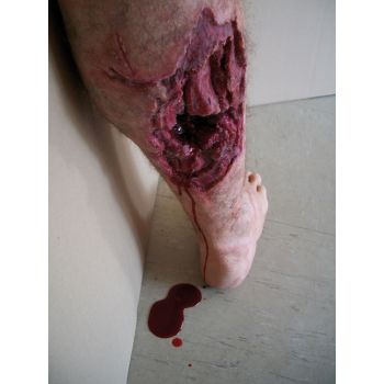 Modello di gamba con ferita di guerra Erler Zimmer R50010
