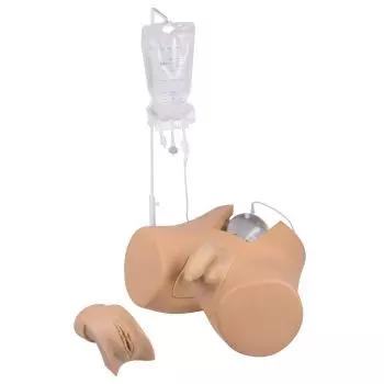 Simulatore di cateterismo con organi genitali femminili "Florence" e maschili "Henri"