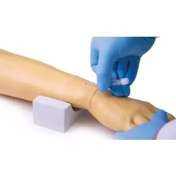 Modello didattico del braccio per iniezioni endovenose Erler Zimmer 7010