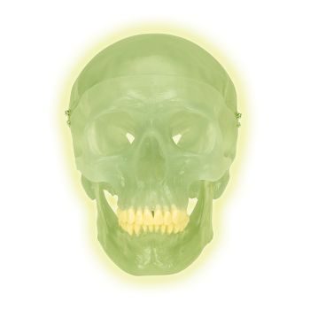 Cranio fluorescente A20/N