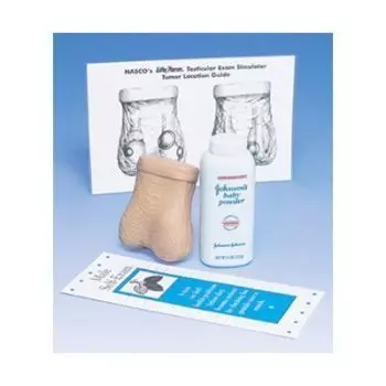 Modello di palpazione dei testicoli W44112