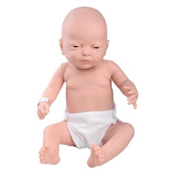 Modello maschile di neonato latino W17000 3B Scientific