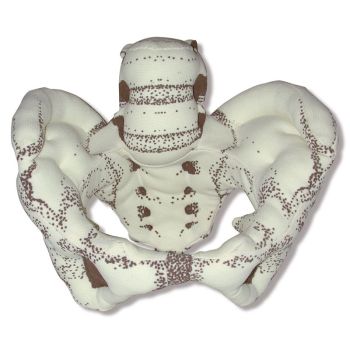Bacino femminile in tessuto R10072 Erler Zimmer