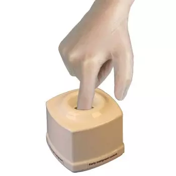 Simulatore per esame della prostata R10082 Erler Zimmer