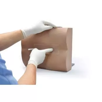 Simulatore di puntura lombare Erler Zimmer R11030