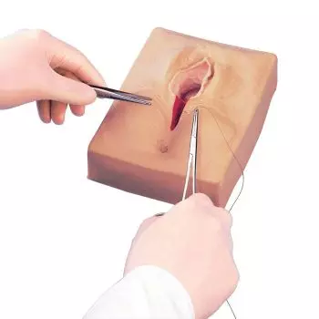 Simulatore della sutura del perineo - Set in 3 parti W44096