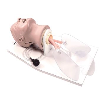 Modello di Testa per intubazione  W44104 3B Scientific 