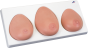 Modello per palpazione del seno, L55