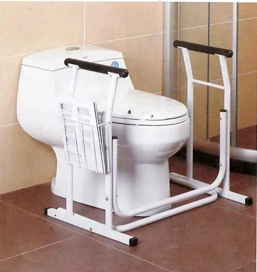 Rotaia di sostegno per Toilette Hestec