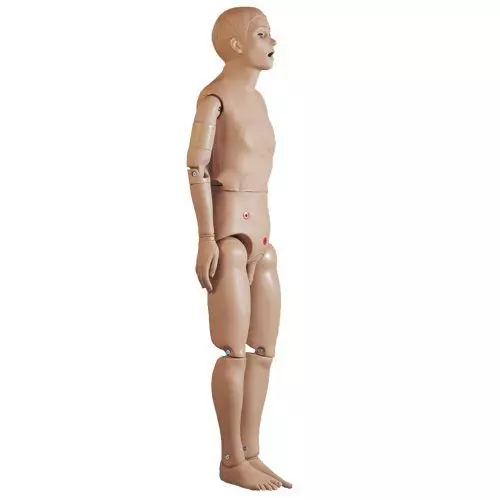 Modello di Cura del malato modello di base, maschile W45070