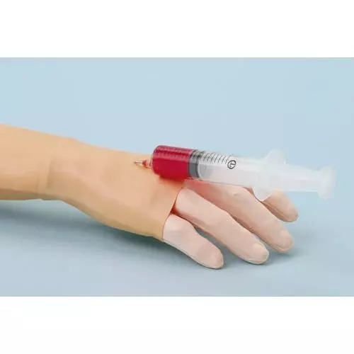 Modello didattico del braccio per infusione endovenosa e prelievo Erler Zimmer 7040