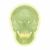 Cranio fluorescente A20/N