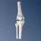Mini articolazione del ginocchio, senza base A85