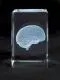Oggetti preziosi in vetro MEDart™ Cervello MAC15G