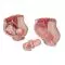 MEDart™ Bacino in gravidanza MAL20