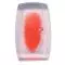 Modello dei vasi renali (rosso) W10603