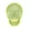 Cranio fluorescente A20/N