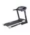 Tapis roulant CareFitness Runner II