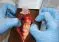 Simulatore per tracheotomia modello anatomico testa canina  Louie K9 VET4090