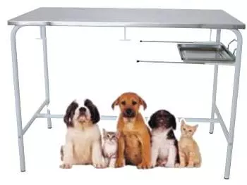 Tavolo da visita veterinario fisso