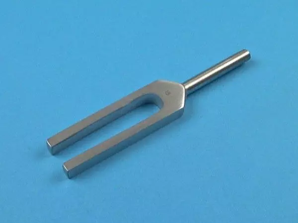 Diapason, senza cursore, N°512 VD, 16 cm - Holtex