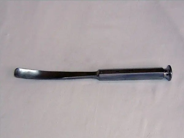 Pinza Sgorbia di Cauchoix, concave, 25 cm x 1,8 cm - Holtex