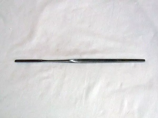 Pinza sgorbia di Guillaume, diritta, 25 cm x 5 mm - Holtex