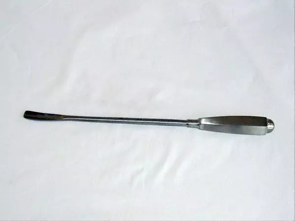 Pinza-sgorbia di Stagnara, manico antiscivolo, 30 cm x 10 mm - Holtex