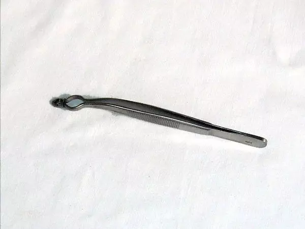 Pinza per strumenti di Davis Holtex 16 cm