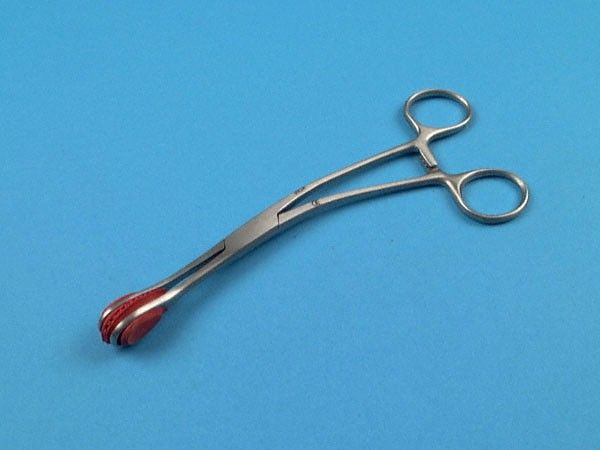 Pizza In Teglia - Life & Chiara - Foto 10