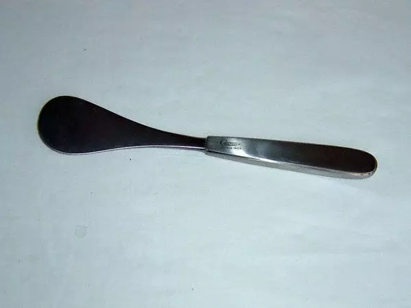 Spazzola in cucchiaio di Danis, 24 cm - Holtex