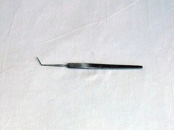 Spazzola dElschnig ad Iris, 10 mm - Holtex