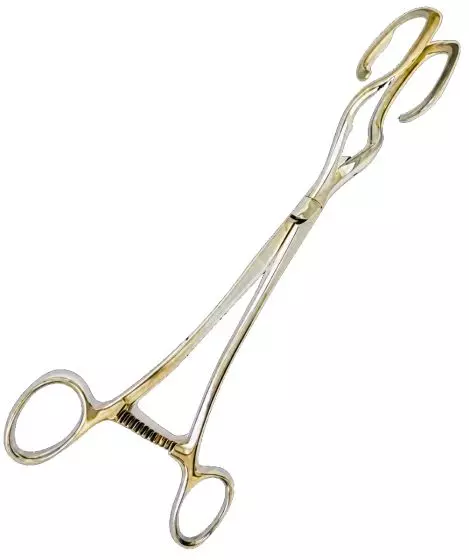Pinza isterolabe di Dartigues da 25 cm
