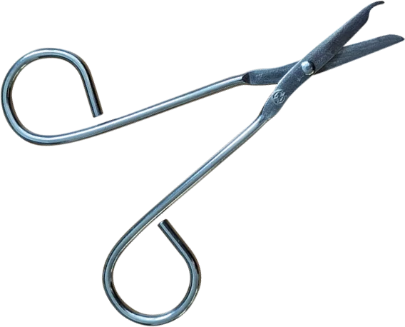 Forbici tagliafilo sterili Euromedis (scatola da 100)