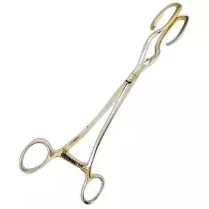 Pinza isterolabe di Dartigues da 25 cm