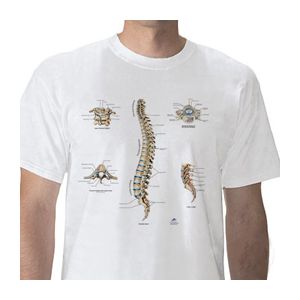 T-shirt anatomiche; Colonna vertebrale W41031