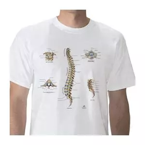 T-shirt anatomiche; Colonna vertebrale W41032