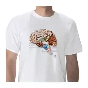 T-shirt anatomiche; Cervello W41040