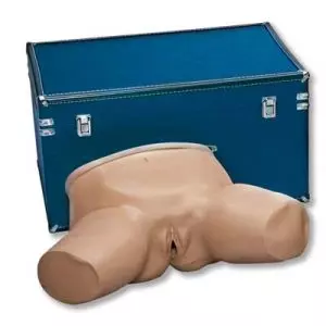 Simulatore per ginecologia per esame pelvico Life/form® 3B Scientific W44745N