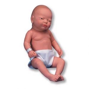 Modello femminile di neonato latino W17001 3B Scientific
