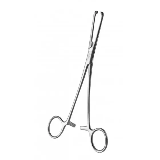 Pinza Allis, 15 cm - Holtex 