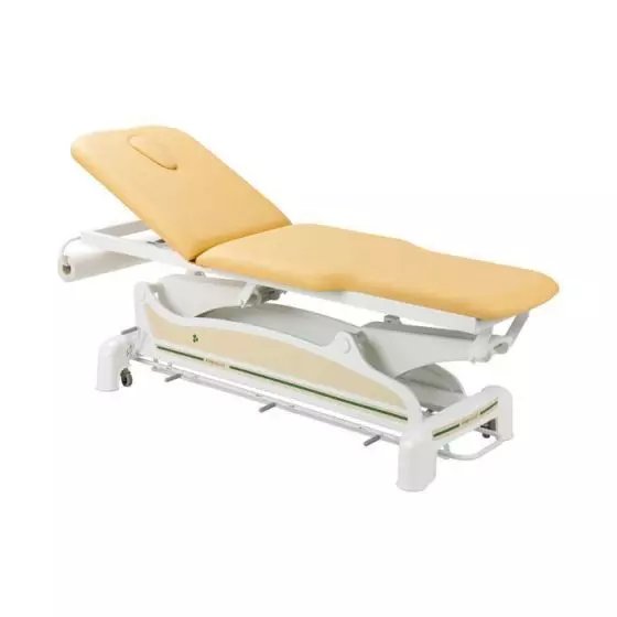 Lettino da massaggio elettrico con braccioli Ecopostural C3562M44