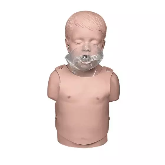 Torso di bambino per rianimazione W44592