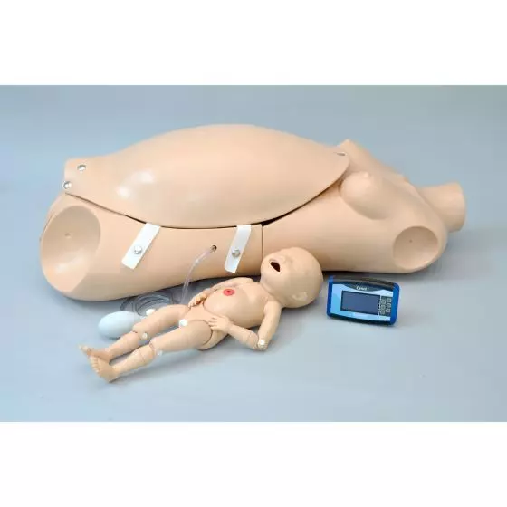 Torso materno e neonatale W45113 3B Scientific