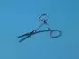 Pinza Kocher, diritta, A/G, 13 cm - Holtex
