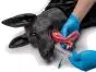 Simulatore di cani da lavoro militari Erler Zimmer K9 Marshal