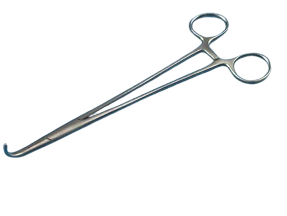 Pinza Negus, 19 cm, curvo - Holtex