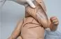 Simulatore di rianimazione e cure d'emergenza (neonati) con accesso intraosseo e venoso
