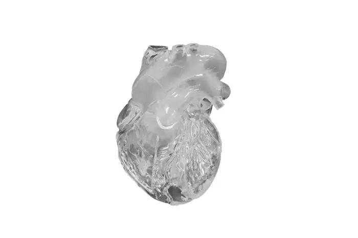 Modello didattico di cuore flessibile G510 Erler Zimmer