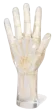 Fantasma radiografico della mano Erler Zimmer